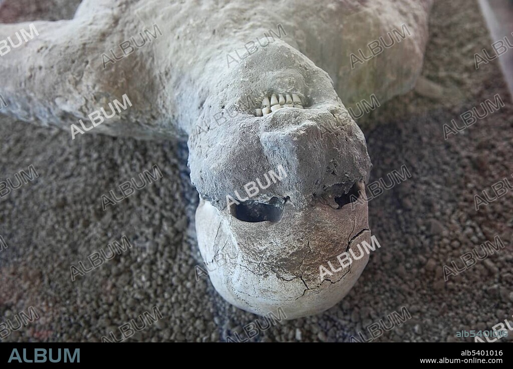 A victim of the ashfall, Garden of the Fugitives, Pompeii, Campania, Italy, Europe.
