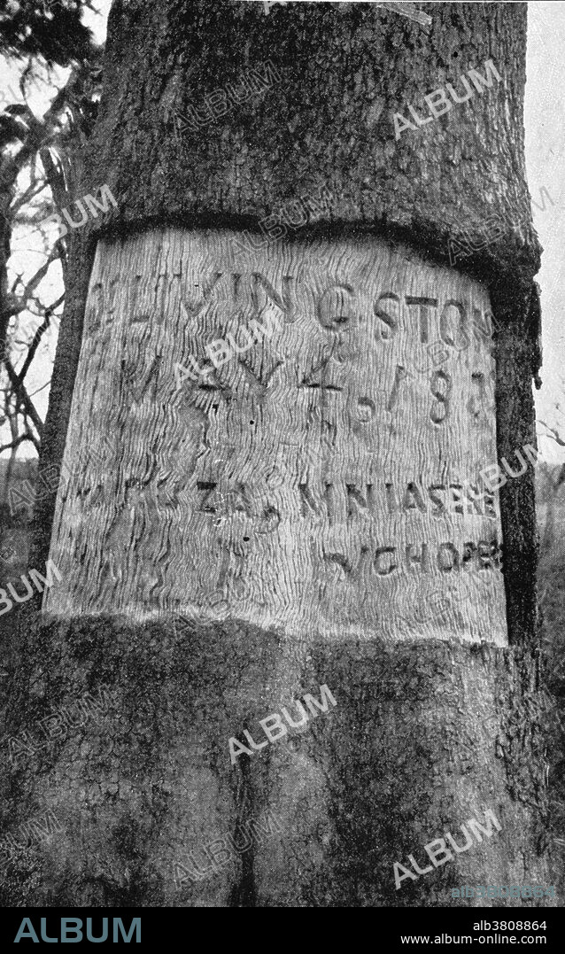 Tree in central Africa where David Livingstone's heart is buried, showing the inscription bearing his name. David Livingstone (March 19, 1813 - May 1, 1873) was a Scottish explorer and medical missionary in Africa. He organized expeditions into the interior of Africa from Botswana, discovered and named Victoria Falls, and located the mouth of the Zambesi River. He mapped much of interior Africa, wrote accounts of the inhabitants, and campaigned against slavery. Along with Henry Morton Stanley, he became a celebrity in the eyes of a Victorian public captivated by their explorations.