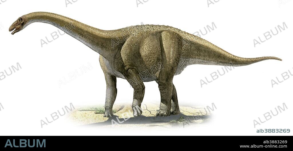 Rapetosaurus krausei, a prehistoric era dinosaur from the Cretaceous period.