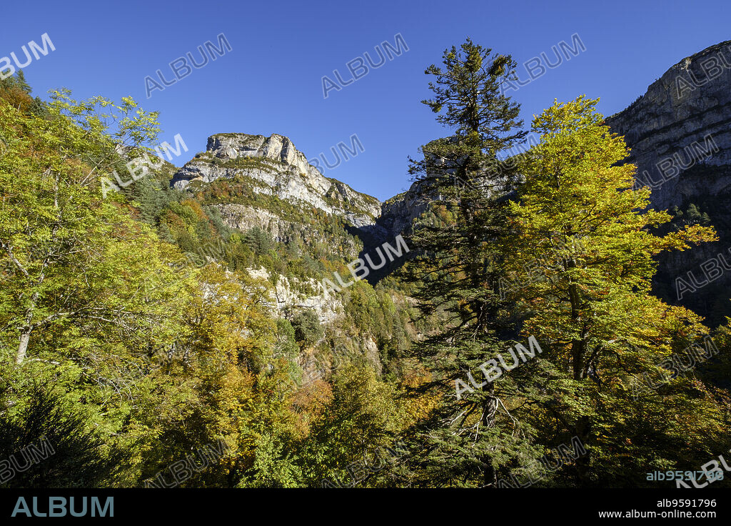 La Ripareta, Cañon de Añisclo, parque nacional de Ordesa y Monte Perdido, comarca del Sobrarbe, Huesca, Aragón, cordillera de los Pirineos, Spain.