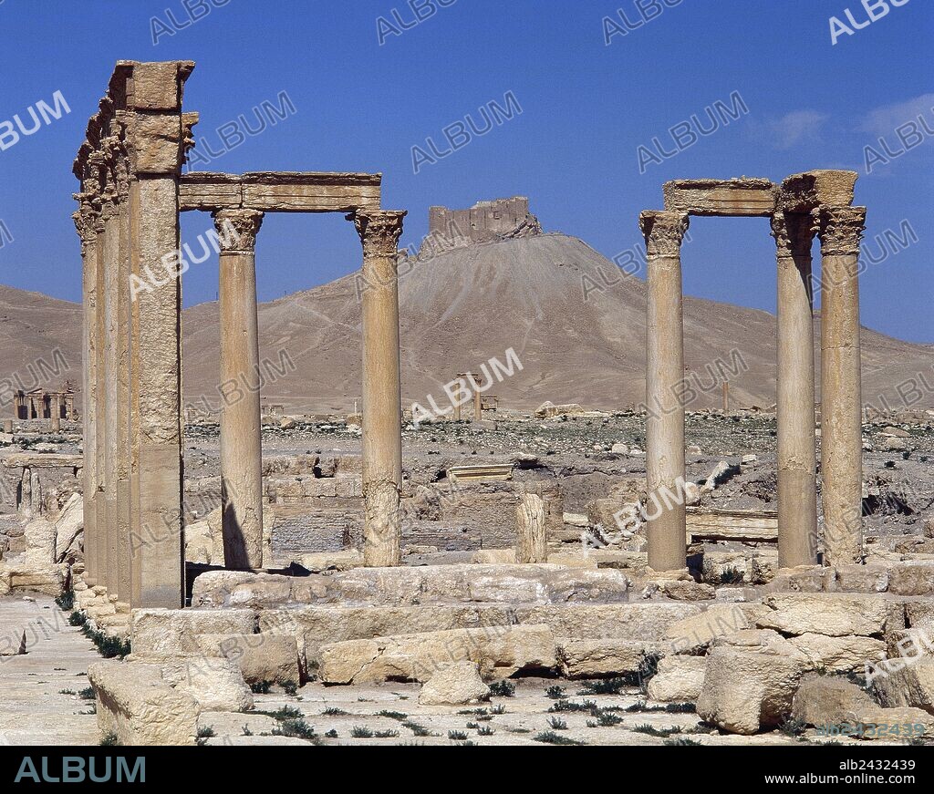 Syria. Palmyra. Columns of the Baths of Diocletian. 4th century AD. Remains. Oasis of Tadmor. (Picture taken before the civil war).