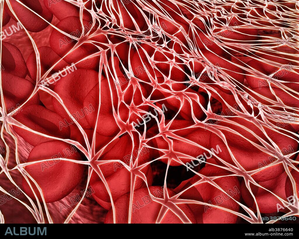 Conceptual image of red blood cells with fibrin.