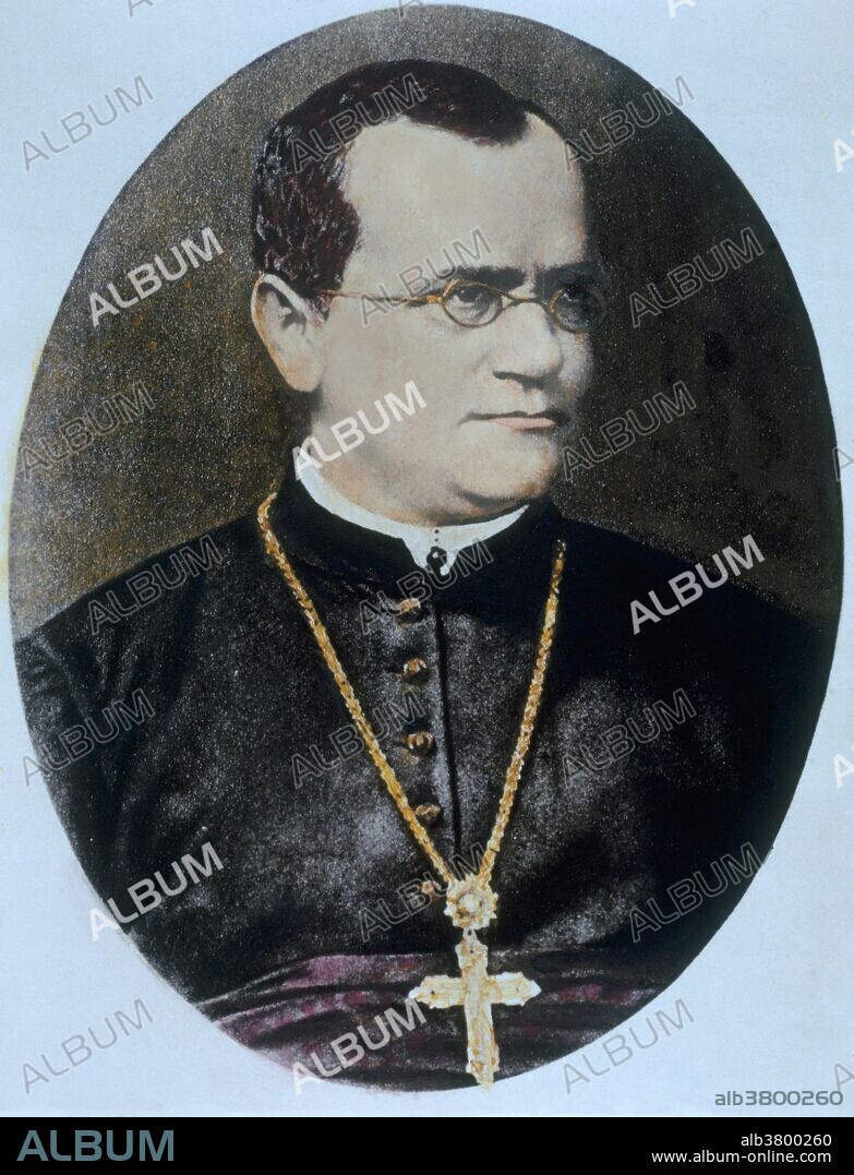 Gregor Mendel, Father of Genetics