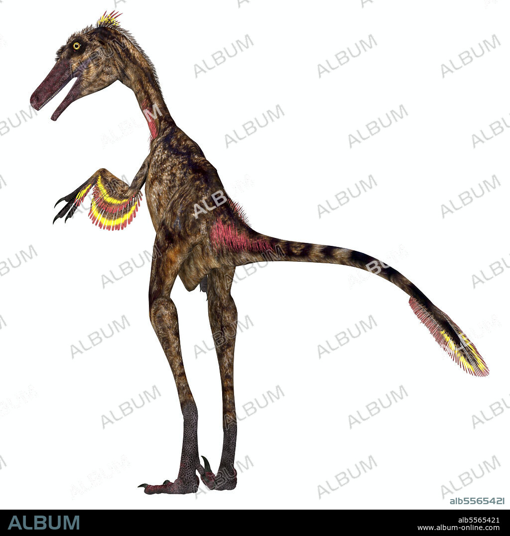 Troodon dinosaur standing. Troodon was a carnivorous theropod dinosaur that lived in North America during the Cretaceous Period.