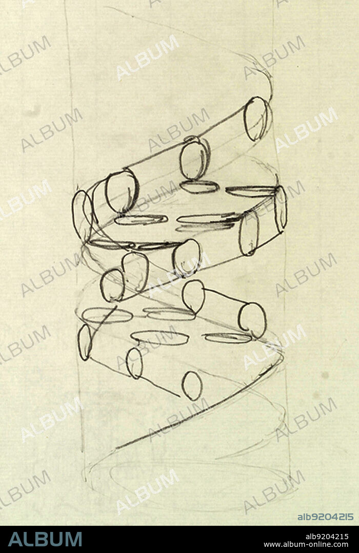 Francis Crick's original sketch of the structure of DNA, made in 1953. Later that same year Crick and James Watson published the watershed paper "Molecular Structure of Nucleic Acids" in the journal Nature. Rosalind Franklin's x-ray images of DNA were crucial to Watson and Crick finalizing the structure of the molecule. Watson, Crick and Maurice Wilkins (Franklin's colleague at King's College) won the Nobel Prize in 1962 for the discovery of DNA's structure. Unfortunately, Franklin had died of cancer by then, and was thus ineligible for the award.