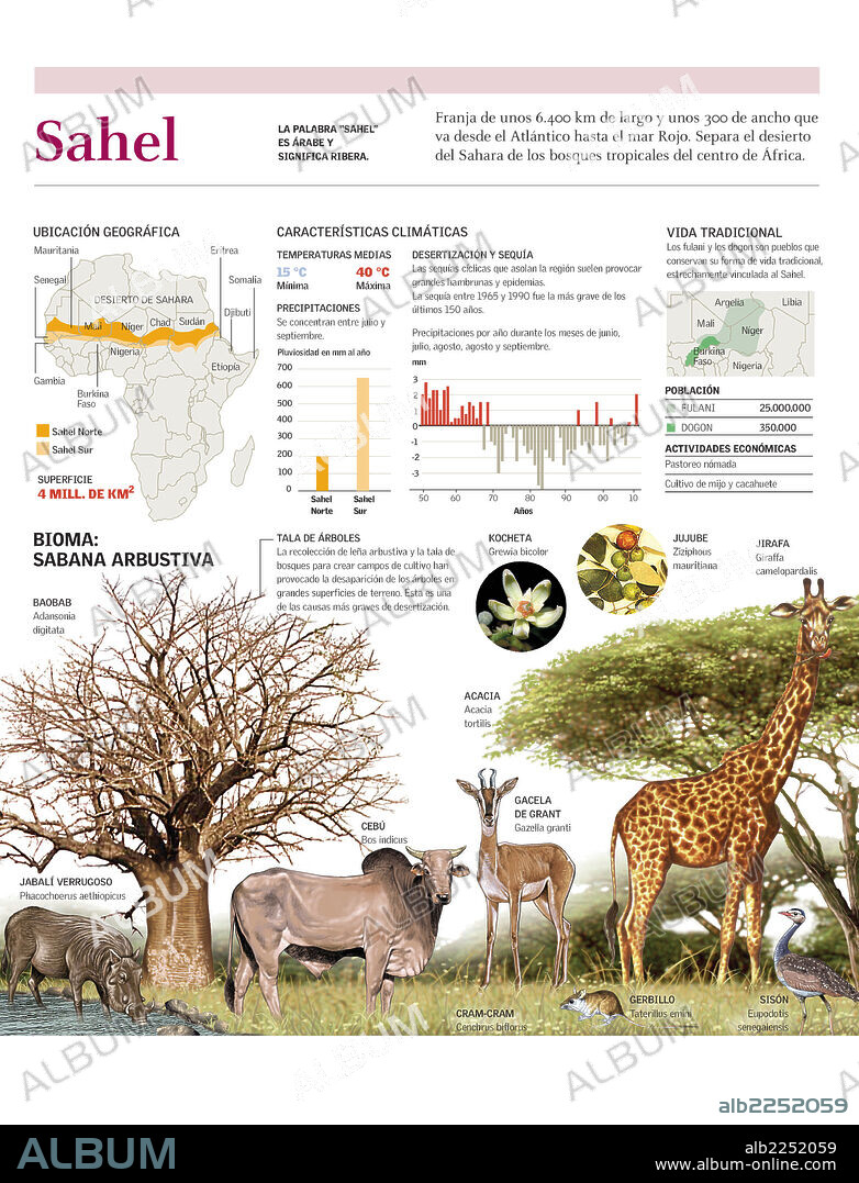 Sahel. Infografía de la ubicación, climatología y bioma propio del Sahel africano.
