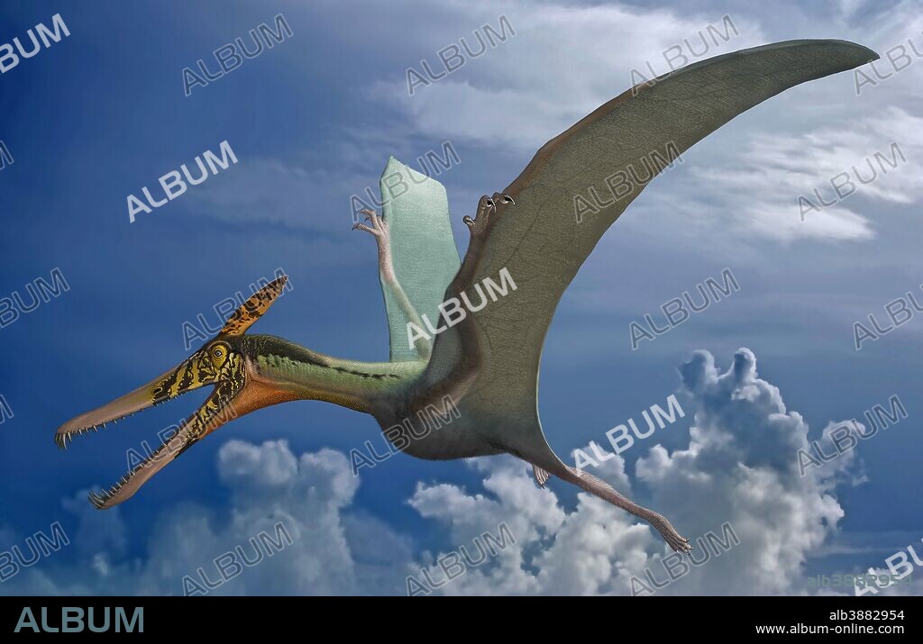 Ludodactylus sibbicki, a pterosaur from the Lower Cretaceous Crato Formation of Brazil.