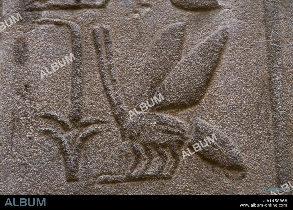 ESCRITURA JEROGLIFICA. EGIPTO. Detalle jeroglífico del JUNCO y la ABEJA, símbolos que caracterizaban el ALTO y el BAJO EGIPTO. TEMPLO DE LUXOR. IMPERIO NUEVO.