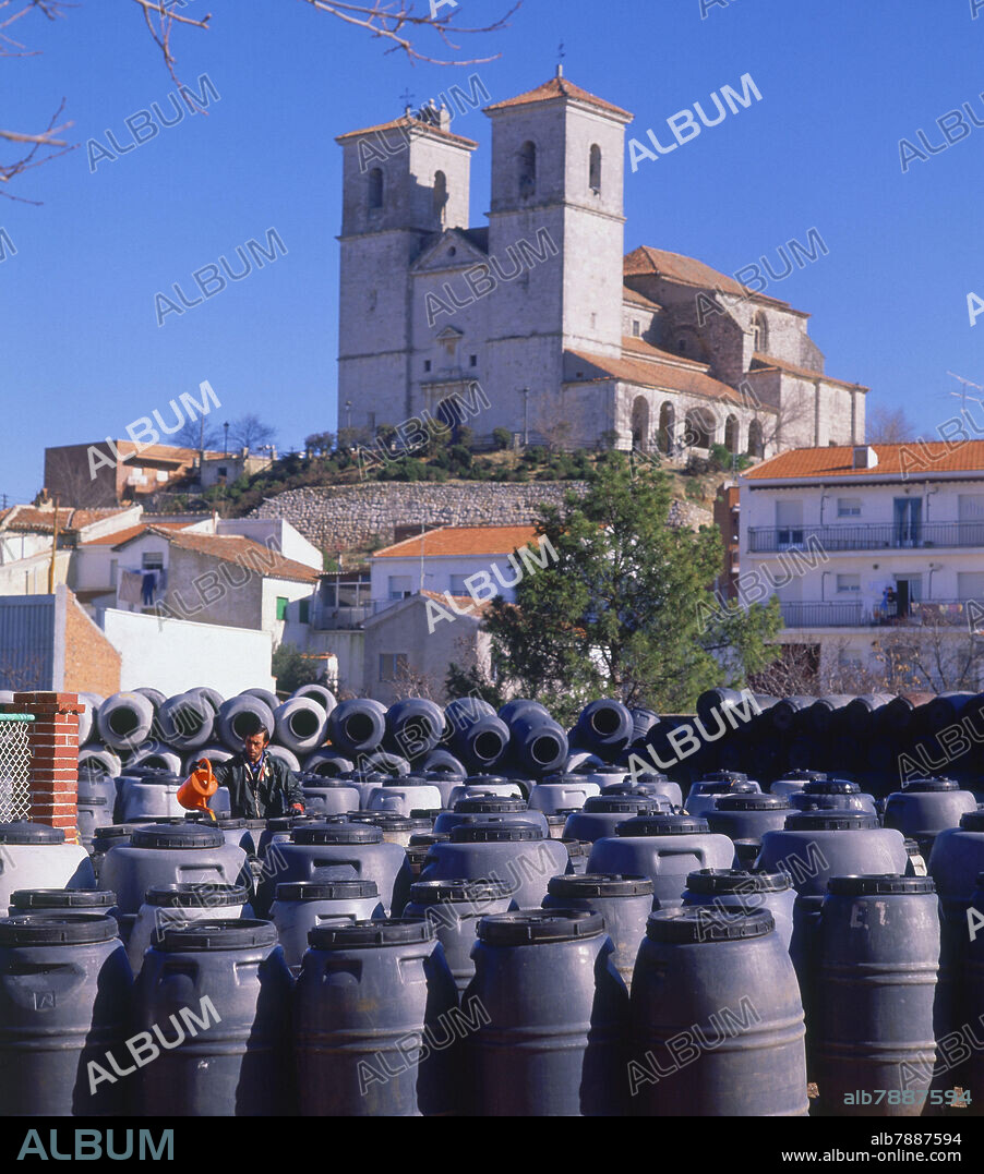 ACEITUNAS EN SALAZON EN TINAJAS DE PLASTICO.