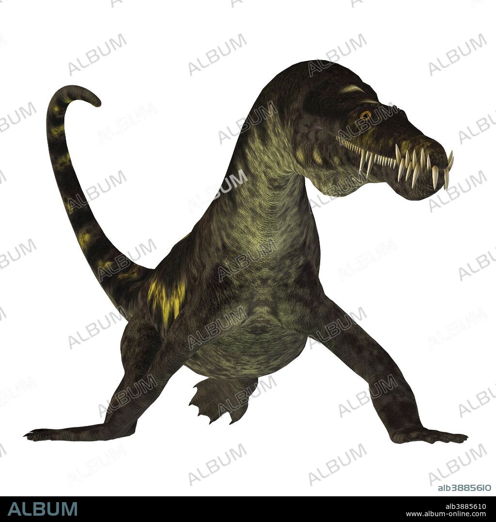 Nothosaurus reptile, front view. Nothosaurus was a semi-aquatic carnivorous reptile that lived in the Triassic Period of North Africa, Europe and China.