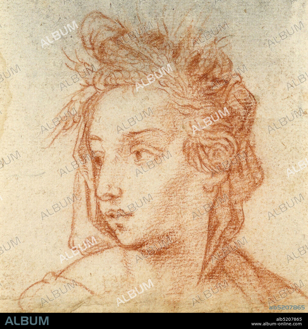 Head of Summer, Red crayon on paper, Bust of allegorical figure shown in three-quarter view, turning to the left. Young male is crowned with ears of grain., Italy, 15801610, figures, Drawing, Drawing.