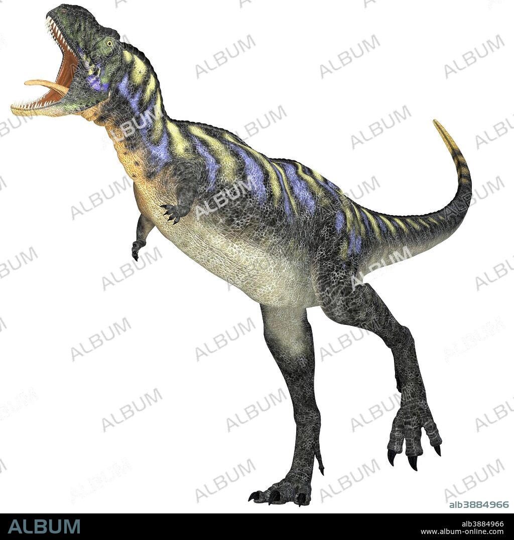 Aucasaurus was a predatory dinosaur from the Cretaceous Period in Argentina and a close relative of Carnotaurus.