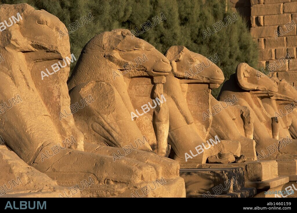 ARTE EGIPCIO. EGIPTO. TEMPLO DE KARNAK. AVENIDA DE LAS ESFINGES, con cabeza de CARNERO (símbolo del dios AMON). Construída durante el reinado de Ramses II. Dinastía XIX. Imperio Nuevo. Alrededores de Luxor (antigua Tebas "Waset").