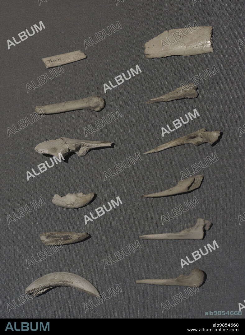 Período Neolítico. Edad de los Templos (4000 al 2500 a.C.). Malta. Utensilios de hueso. Algunos tallados en forma de punta, probablemente utilizados para perforar agujeros decorativos. Procedencias diversas. Museo Nacional de Arqueología. La Valeta. Malta.