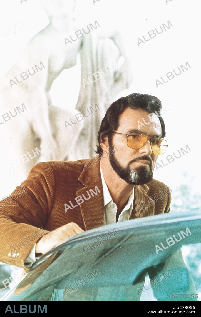 Burt Reynolds Moustache