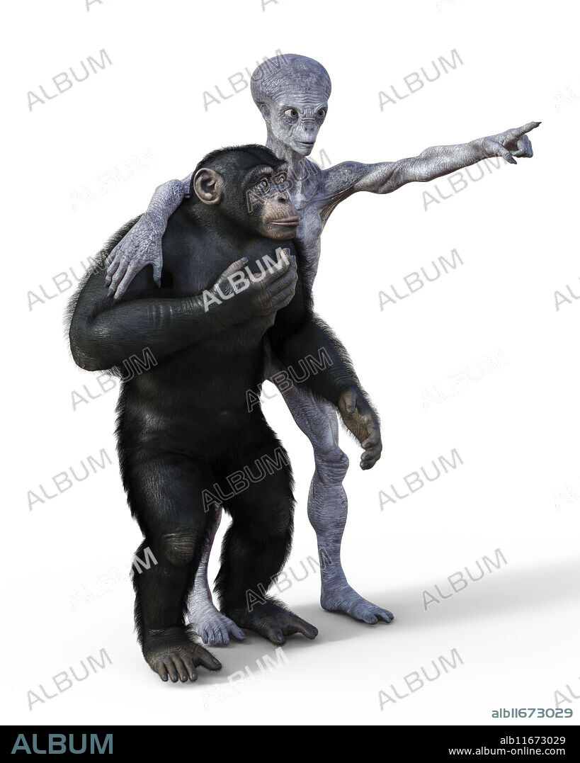 Humanoid alien and chimpanzee monkey
