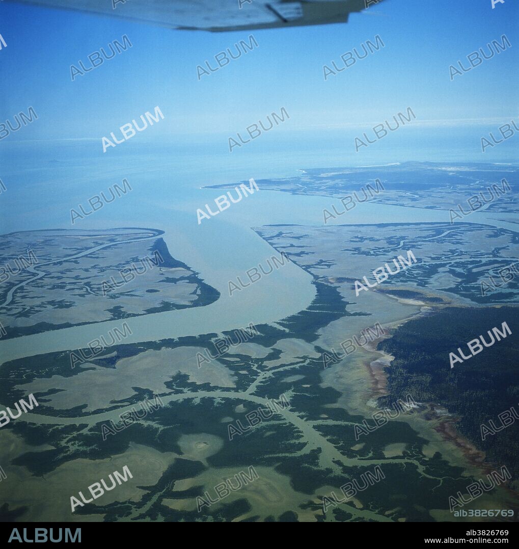 Dendritic patterns of deltaic islands, channels, mangroves and intertidal flats typical of river deltas, seen here in part of the Fitzroy River Delta wetland complex, Queensland, Australia.  Created by alluvial deposits washed downstream during eons of seasonal floods, the landforms and vegetation patterns indicate the wealth of fish and wildlife habitat in the delta, potentially affected by river regulation upstream, a common concern on the world's large rivers.
