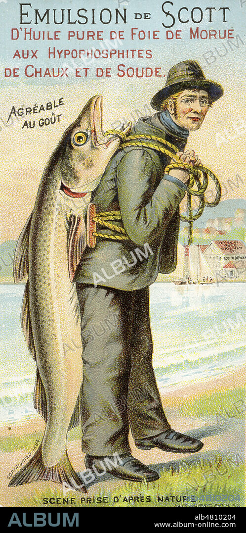 'Emulsion de Scott d'huile pure de foie de morue'. Pecheur portant un poisson geant sur son dos. Carte publicitaire vers 1900. Credit : Collection IM/KHARBINE-TAPABOR.