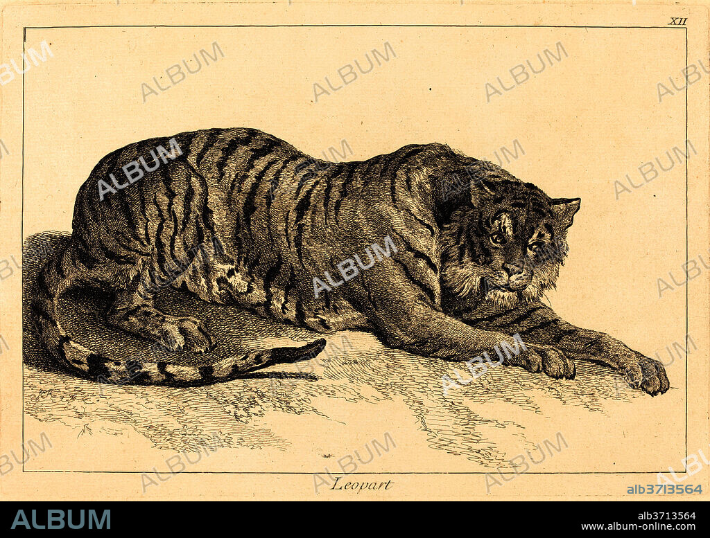 JACQUES-PHILIPPE LE BAS AND JEAN ERIC REHN AFTER JEAN-BAPTISTE OUDRY. Leopart (Leopard or Tiger). Medium: etching finished with burin.
