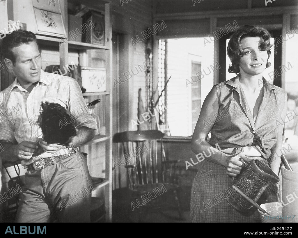 PATRICIA NEAL y PAUL NEWMAN en EL MÁS SALVAJE ENTRE MIL, 1963 (HUD), dirigida por MARTIN RITT. Copyright PARAMOUNT PICTURES.