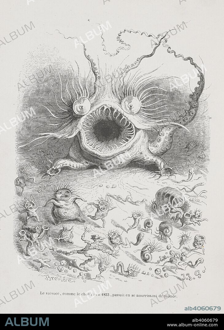 HONORÃ© DE BALZAC and GRANDVILLE. Le Volvace, comme le cholera en 1833, passait en se nourrissant de monde. Anthropomorphic image of a marine creature. Peines de cÅ“ur d'une chatte anglaise.-Guide-aÌ‚ne aÌ€ l'usage des animaux qui veulent parvenir aux honneurs.-Voyage d'un lion d'Afrique aÌ€ Paris.-Les Amours de deux beÌ‚tes. In: Stahl (P. J.) pseud. SceÌ€nes de la vie priveÌe des animaux ... EÌtudes de mÅ“urs contemporaines publieÌes sous la direction de M. P. J. Stahl, avec la collaboration de Messieurs de Balzac, L. Baude, etc. 1842. 1842. Source: 1457.k.1. plate opposite page 249.