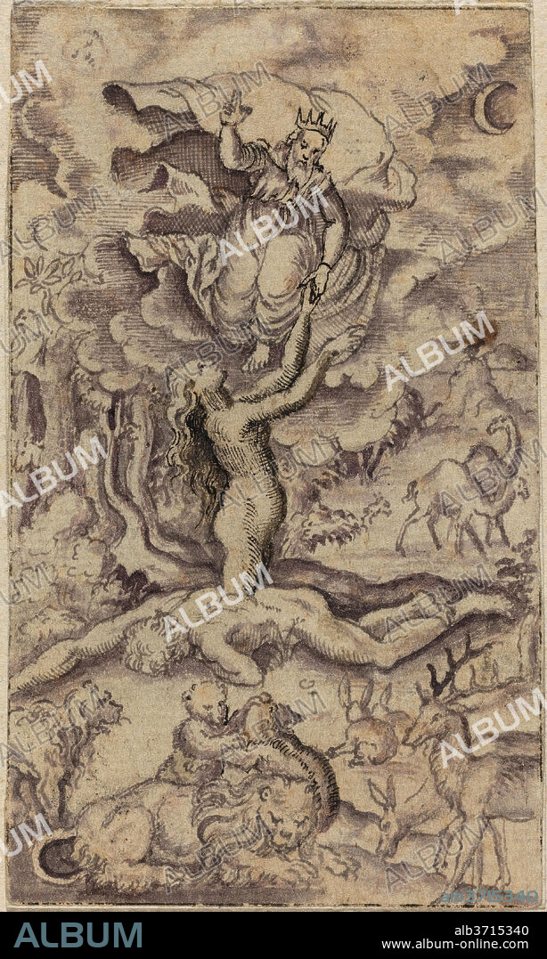 VIRGIL SOLIS. The Creation of Eve. Dimensions: Overall: 8.8 x 5.2 cm (3 7/16 x 2 1/16 in.)  support: 16.3 x 12.5 cm (6 7/16 x 4 15/16 in.). Medium: pen and black and violet ink on laid paper.