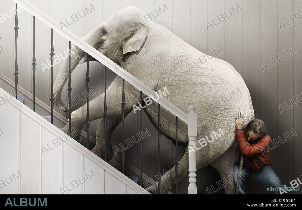 Man struggling to push elephant up stairs.