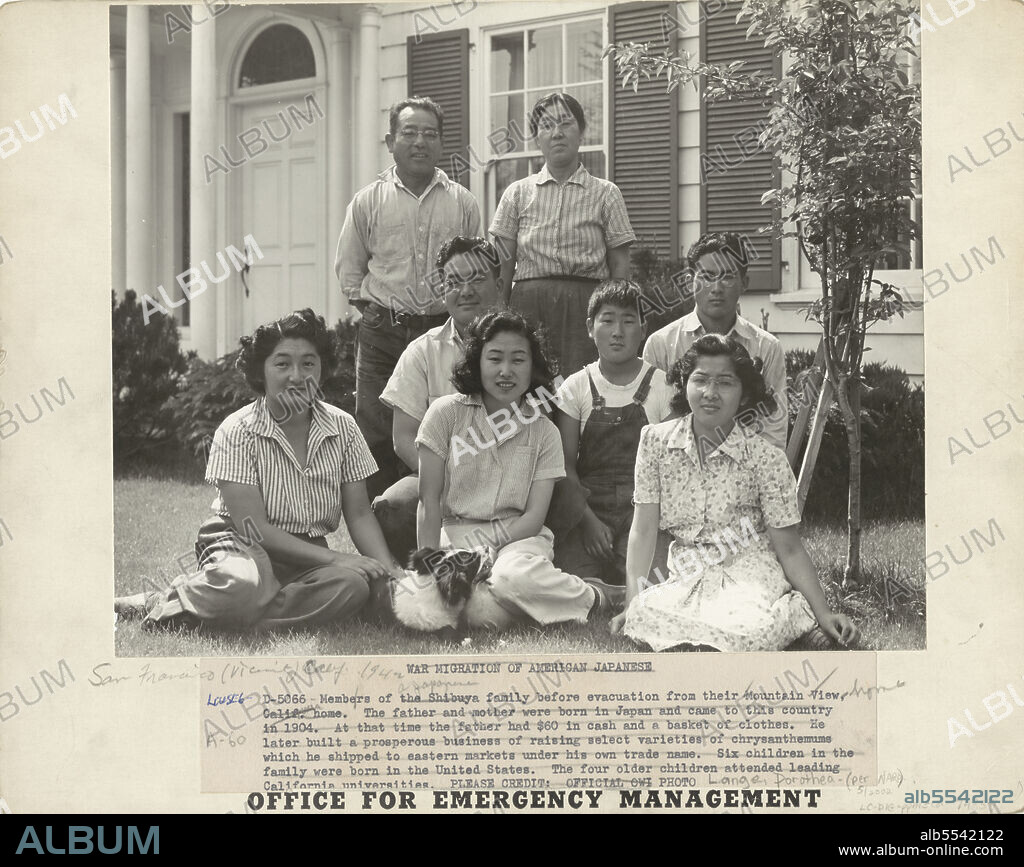 DOROTHEA LANGE. Japanese relocation, California. Members of the Shibuya family are pictured at home before evacuation. The father and the mother were born in Japan and came to this country in 1904. At that time the father had sixty dollars cash and a basket of clothes. He later built a prosperous business of raising select varieties of chrysanthemums, which he shipped to Eastern markets under his own name. Six children in the family were born in the United States. The four older children attended leading California universities. Evacuees of Japanese ancestry will be housed in the War Relocation Authority centers for the duration.