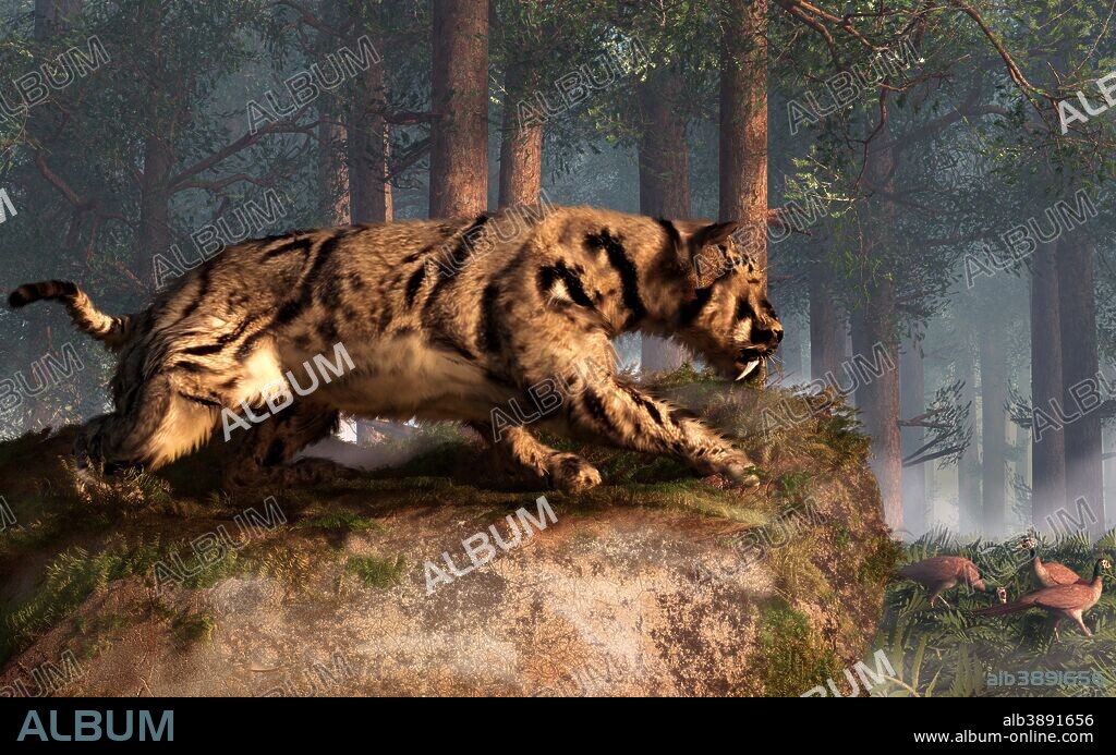 Dinofelis, a prehistoric cat with very long teeth, is waiting atop a rock in the forest. Off in the distance, three small pheasants are pecking the forest floor for food. The cat gets ready to pounce as they wander closer.