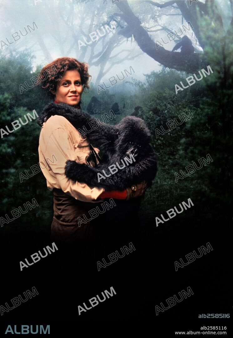 SIGOURNEY WEAVER en GORILAS EN LA NIEBLA, 1988 (GORILLAS IN THE MIST: THE STORY OF DIAN FOSSEY), dirigida por MICHAEL APTED. Copyright WARNER BROTHERS.