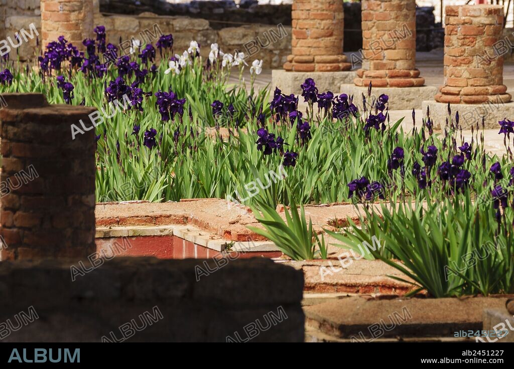 casa de los surtidores, primera mitad del siglo II, Conimbriga, ciudad del Conventus Scallabitanus, provincia romana de Lusitania, cerca de Condeixa-a-Nova, distrito de Coimbra, Portugal, europa.