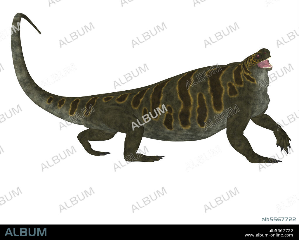 Cotylorhynchus dinosaur, side profile. Cotylorhynchus was a synapsid herbivorous reptile that lived in North America during the Permian Period.