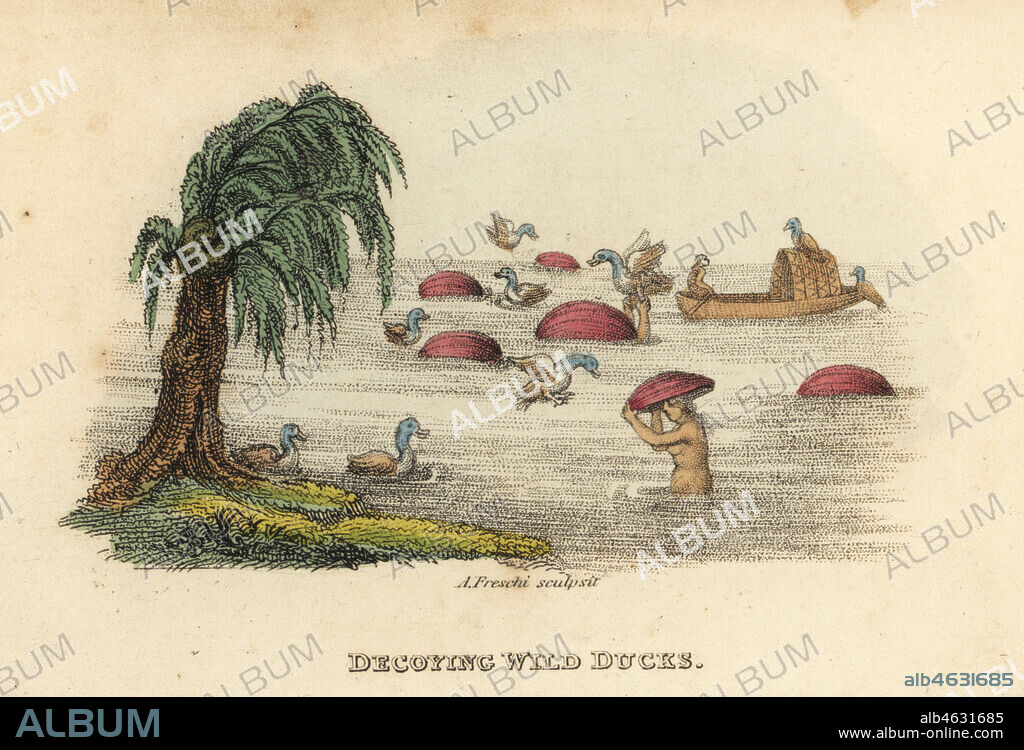 Chinese men hunting wild ducks with decoy gourd hats in the river, Qing Dynasty. Handcoloured copperplate engraving by Andrea Freschi after Antoine Cardon from Henri-Leonard-Jean-Baptiste Bertin and Jean Baptiste Joseph Breton's China, Its Costumes, Arts, Manufactures, etc., Howlett and Brimmer, London, 1824.