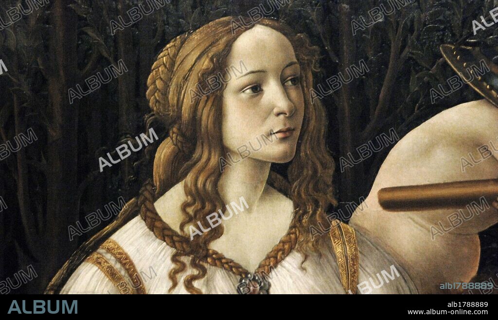 ARTE RENACIMIENTO. ITALIA. BOTTICELLI, Alessandro o Sandro Filipepi, llamado (Florencia, 1445-1510). Pintor italiano. "VENUS Y MARTE" (1483). Detalle de Venus. Temple y óleo sobre tabla. National Gallery. Londres. Inglaterra. Reino Unido.