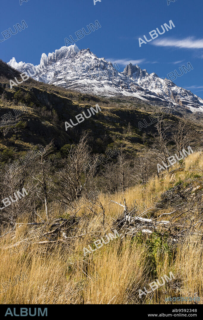 Punta Bariloche, 2600 metros, Cerro Paine Gragde, valle del lago Grey, trekking W, Parque nacional Torres del Paine,Sistema Nacional de Áreas Silvestres Protegidas del Estado de Chile.Patagonia, República de Chile,América del Sur.