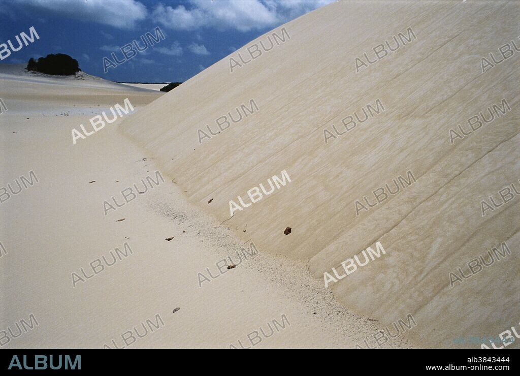 Eolian deposits - "avalanche" chutes on the slip face of a mobile transverse sand dune, Natal, Brazil.