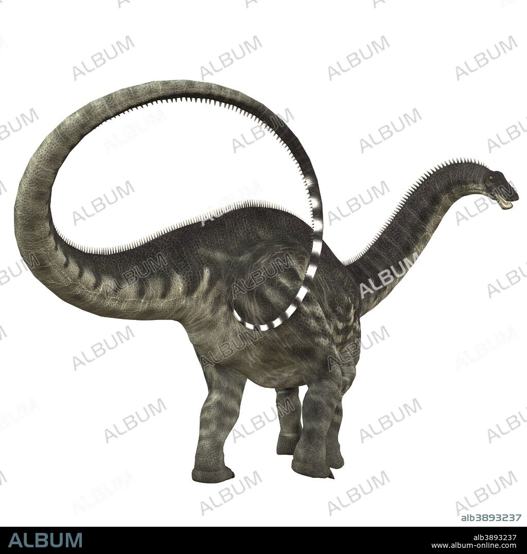 Apatosaurus, also called Brontosaurus, was a sauropod dinosaur that lived in the Jurassic Period of North America.