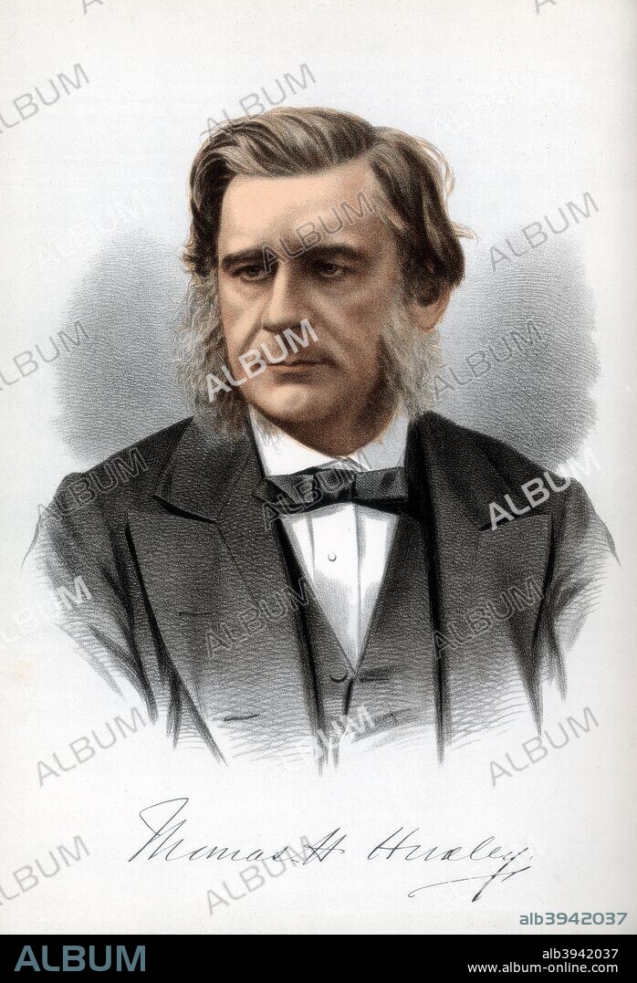 Thomas Henry Huxley, English biologist, c1890. Huxley (1825-1895) was known as Darwin's bulldog because of his ardent support of Darwin's theory of evolution. He was the grandfather of Julian and Aldous Huxley. A lithograph from The Modern Portrait Gallery, Cassell, Petter and Galpin, London, Paris and New York, c1890.