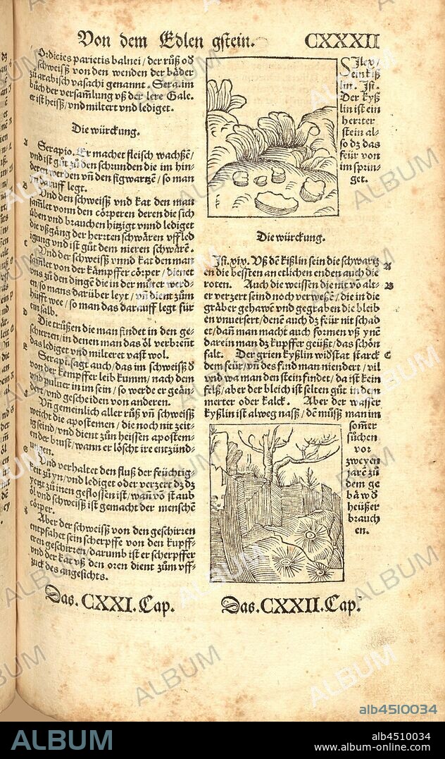Silex, Stone, Fig. 225, Fol. CXXXIIr, Apiarius, Mathias (imp.), 1536, [Hortus sanitatis oder Garth der Gesundtheyt: von den vier Geschlechten als Thier, Vögel, Vischen und edlem Gesteyn]. [Gedruckt und volendet zu Strassburg]: [durch Mathiam Apiarium], [1536].