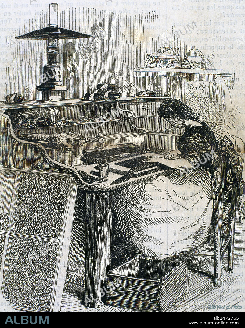 The snuff industry. Woman rolling cigars. France. Engraving,1885.