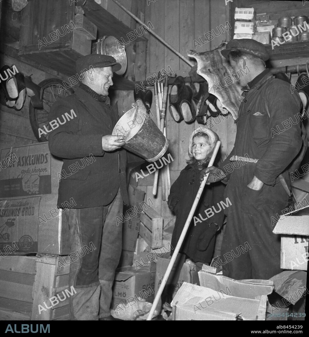 Bohuslän - 1947-12-29 - Reportage i Lysekil - Flatön - Malö - Fiskebäckskil - vi befinner oss i en lanthandel - diverseaffär - Troligen befinner vi oss i handelsman Flinks affär på Flatön - *** Local Caption *** GT Låda Krep 2012-12. KAMERAREPORTAGE.