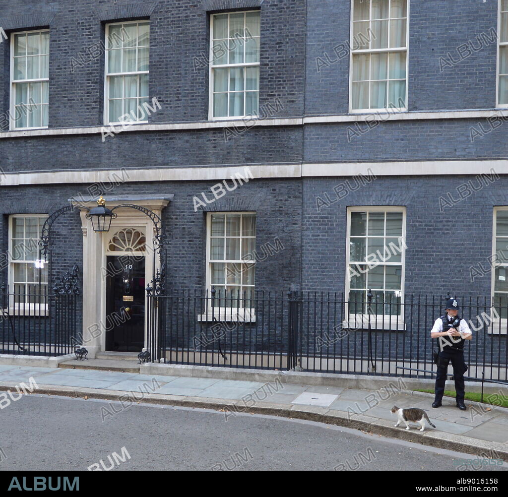 Larry the 10 Downing Street cat and Chief Mouser to the Cabinet Office.at the Door of Number ten Downing Street office and residence of the British Prime Minister.