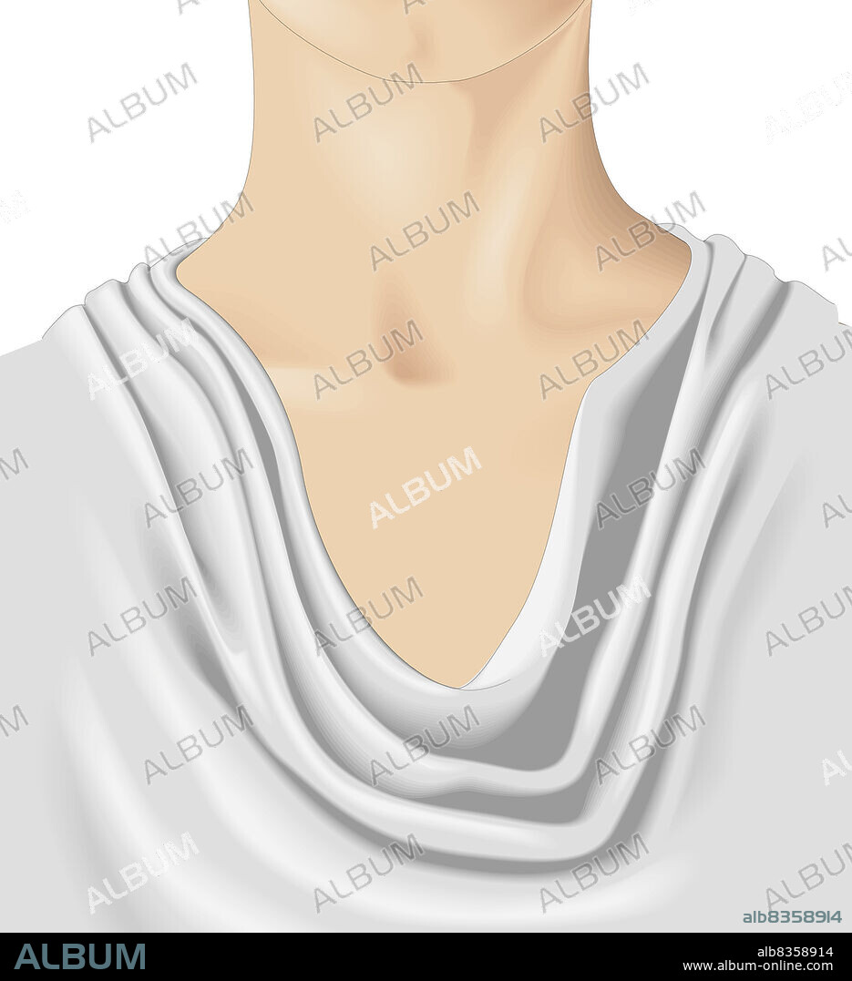Neckline made up of a series of soft overlapping folds created by the fabric of the bodice.