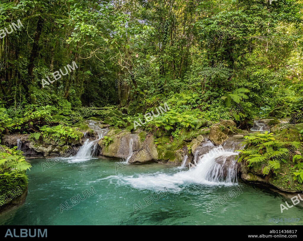 Reach Falls, Portland Parish, Jamaica, West Indies, Caribbean, Central America.