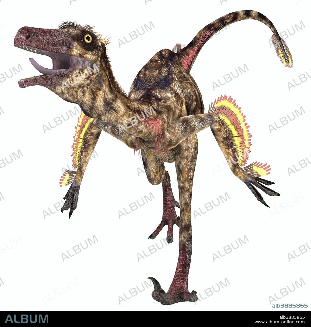 Troodon was a carnivorous small dinosaur that lived in North America during the Cretaceous Period.