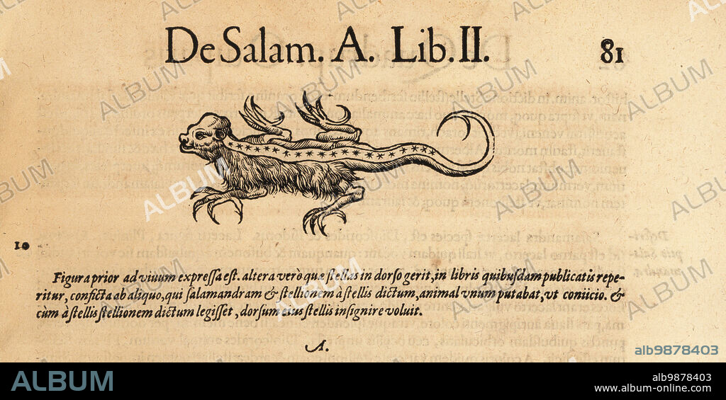 Species of mythical hairy salamander with stars on its back. An example of a fake lizard Stellio. Possibly copied from Bernhard von Breidenbach's book on his travels in the Holy Land, Peregrinatio in terram sanctam. from De Salam. Woodcut engraving after an illustration by Lucas Schan and Conrad Gessner from Conrad Gessners Historiae Animalium, De Quadrupedibus Oviparis, (Natural history of animals: oviparous quadrupeds), Frankfurt, Wechel for Cambier, 1586.