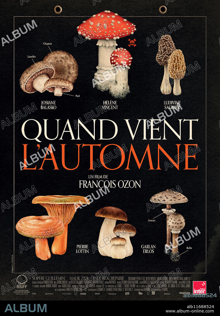 Poster de CUANDO CAE EL OTOÑO, 2024 (QUAND VIENT L'AUTOMNE), dirigida por FRANÇOIS OZON. Copyright Foz / France 2 Cinema / Canal+.
