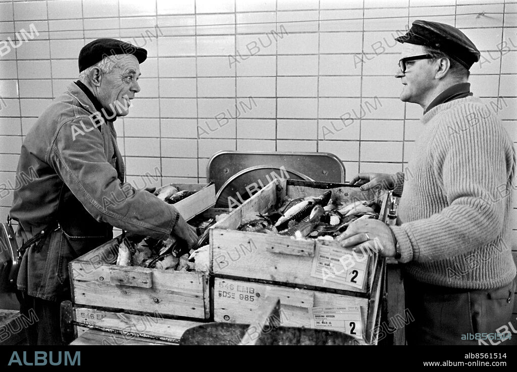 STOCKHOLM 1967-04-19.. Fiskhandlare i Årstahallarna.. Foto: Bo-Aje Mellin / RiR / SVT / Kod: 5600. Bild och reportage publ. i RiR 19/67 sid. 16-17 inför TV-programmet Stuvare och storlager.. RiR 18551 sv/v neg  . Handel.