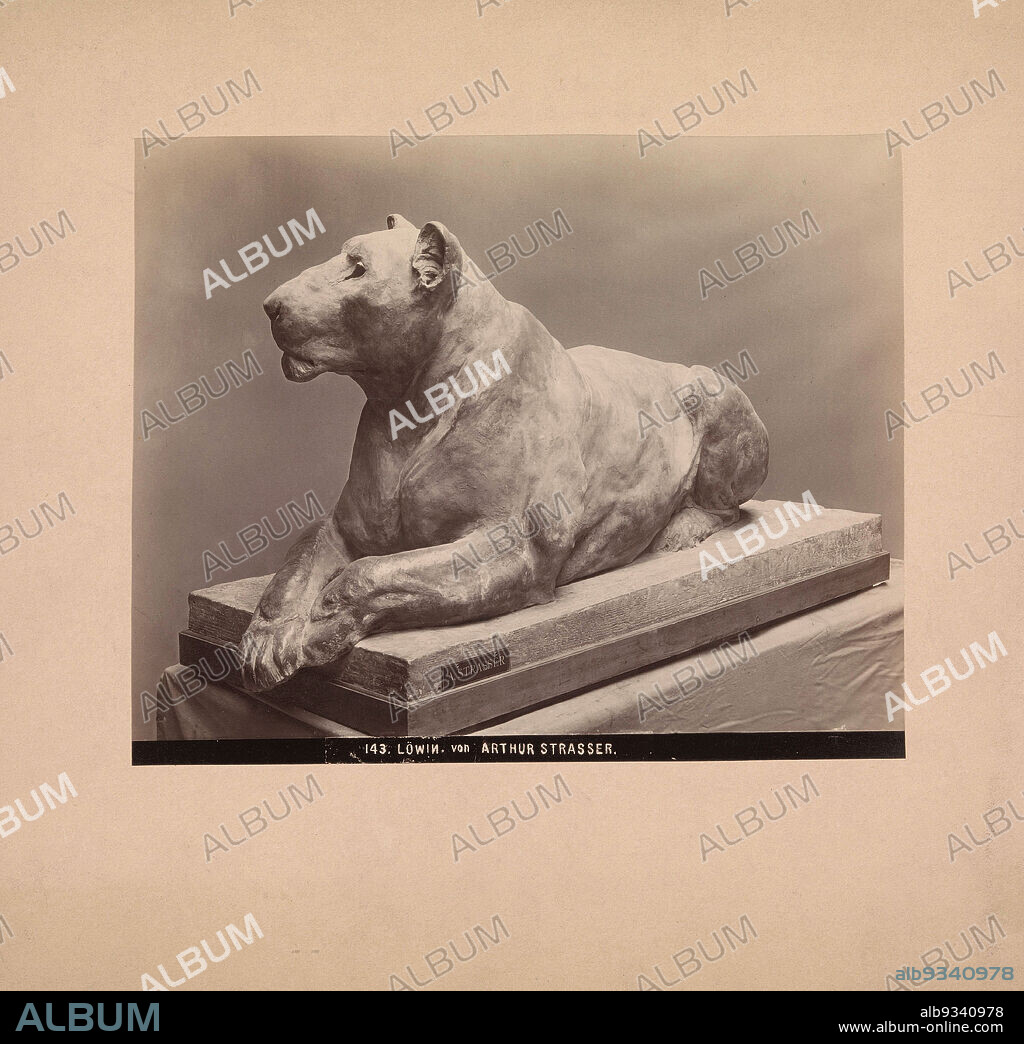 Sculpture of a lioness by Arthur Strasser, Löwin. von ARTHUR STRASSER (title on object), Josef Löwy (mentioned on object), Europe, c. 1875 - c. 1900, cardboard, albumen print, height 176 mm × width 218 mm.