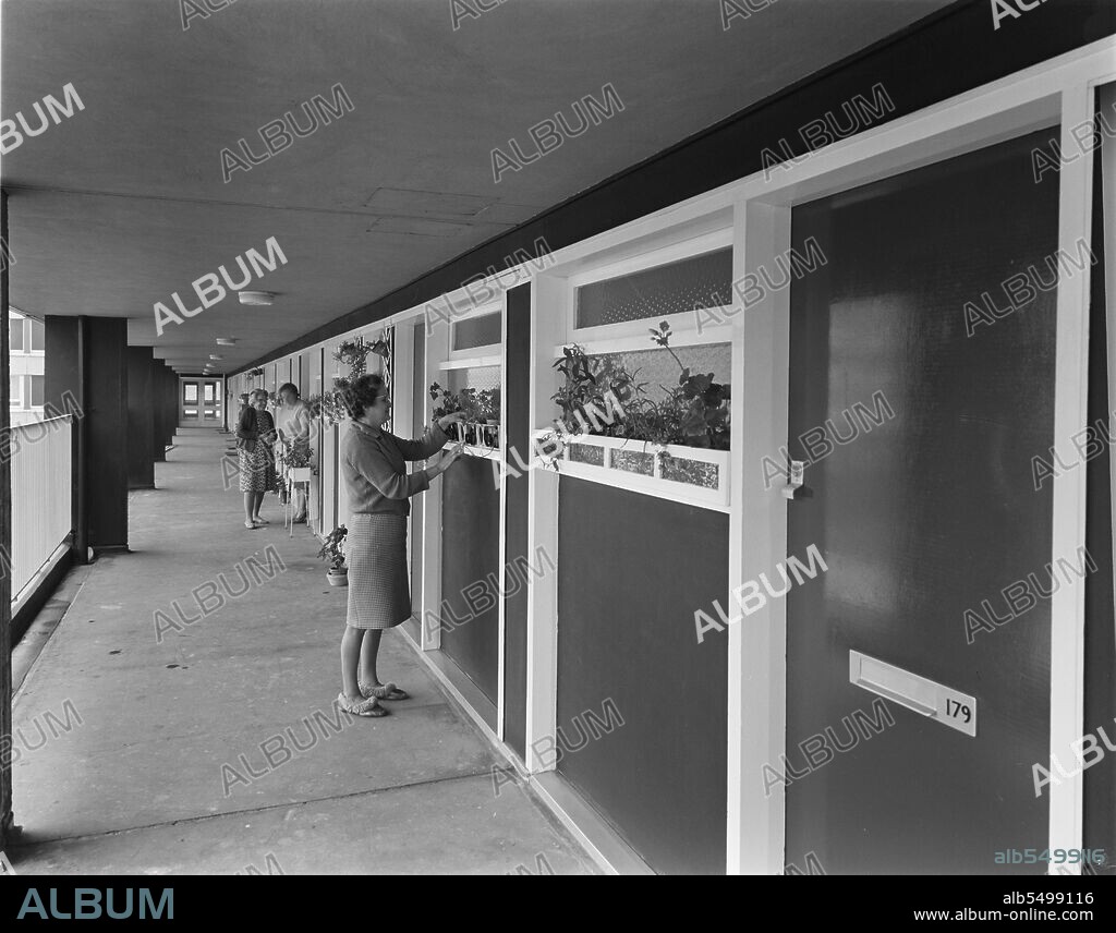 JOHN LAING PLC. Hahnemann Court, Carley Hill Road, Southwick, Sunderland, 10/10/1966. An access balcony on a low rise development of 'Sectra' flats at Hahnemann Court, with residents tending plants in window boxes outside their flats. 'Sectra’ was a French prefabricated steel formwork design for flats which John Laing and Son Ltd acquired the British rights to in 1962. Hahnemann Court was built by Laing for Sunderland County Borough Council. The contract was approved in 1964 and the flats took 18 months to construct. There were 208 flats in four blocks with a quadrangle at the centre. The flats were built over three levels with each flat having a front door opening on to a wide access balcony which were on the second and fifth floors. The development was also served by 10 lifts and main staircases at the core of the links between the blocks. Each flat had central heating, fitted cupboards, double-glazed windows and a fitted kitchen.